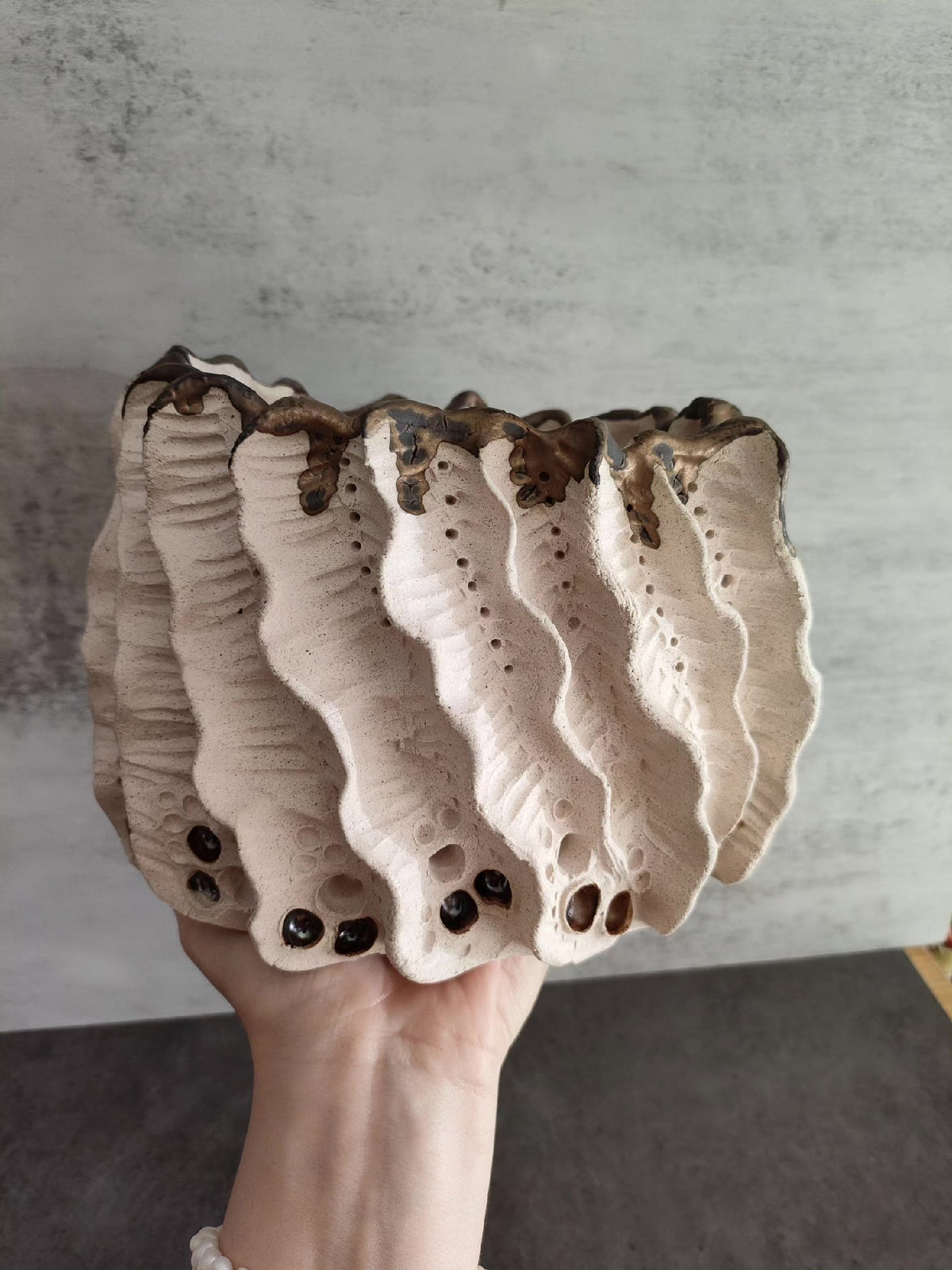 733051238604 - Image 2