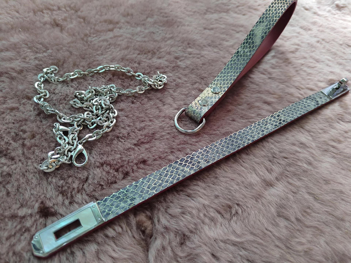 Gray Silver Sheepskin Pet Collar Set