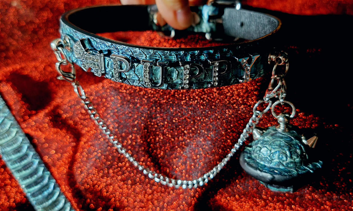 Teal Snake Skin Dog Collar Leash Set