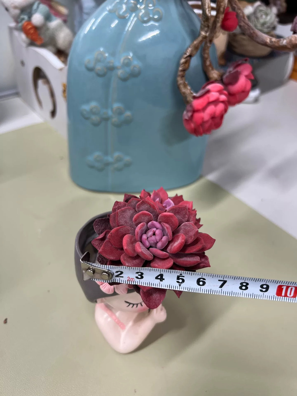 Resin Clay Succulent Two Head Desk Decor