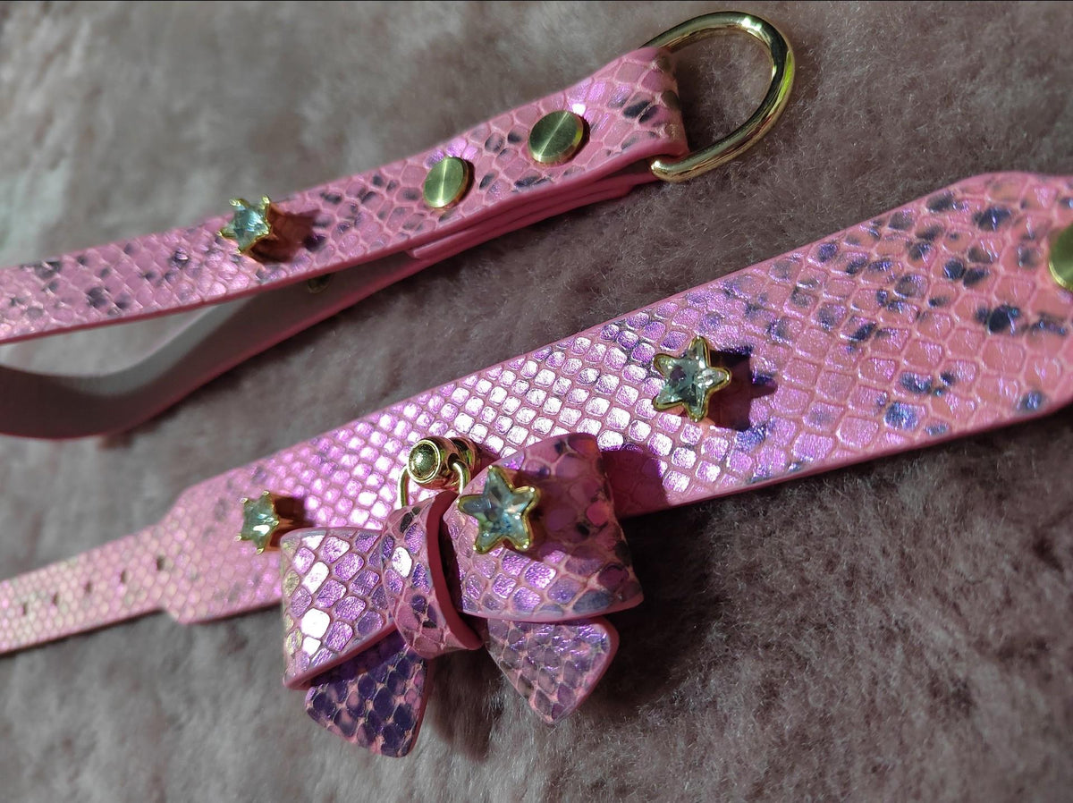 Iridescent Snakeskin Pet Collar Set