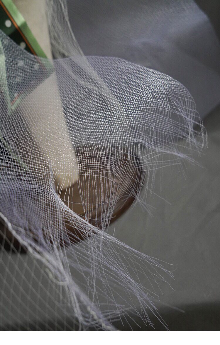 Birdcage Bridal Veil with Oversized Bow