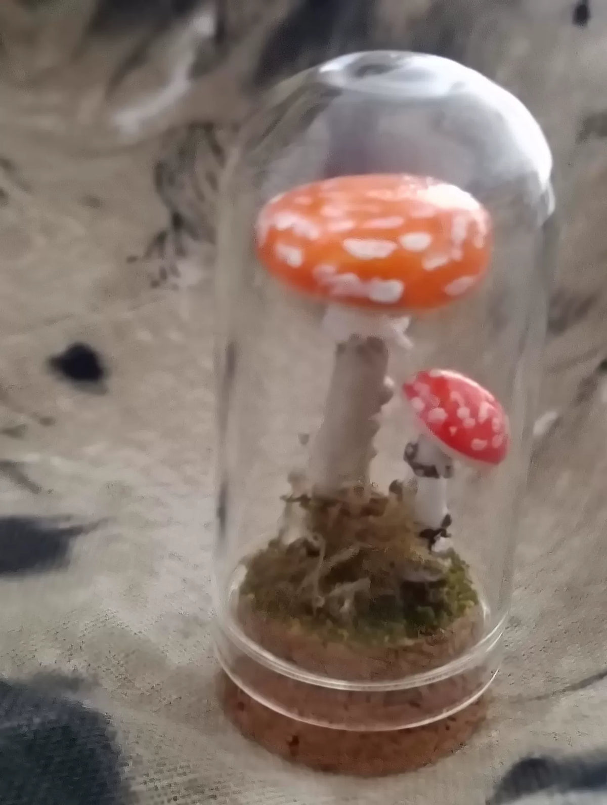 Handgefertigtes Pilz-Terrarium in Glasglocke