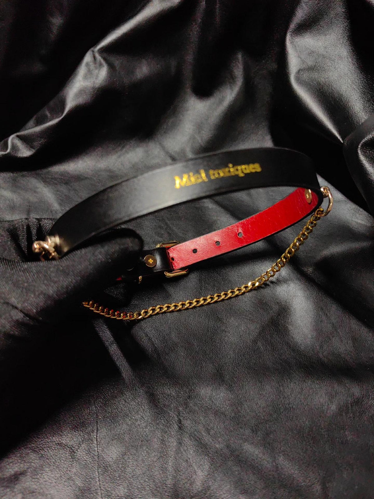 Leather Choker Necklace with Gold Chain