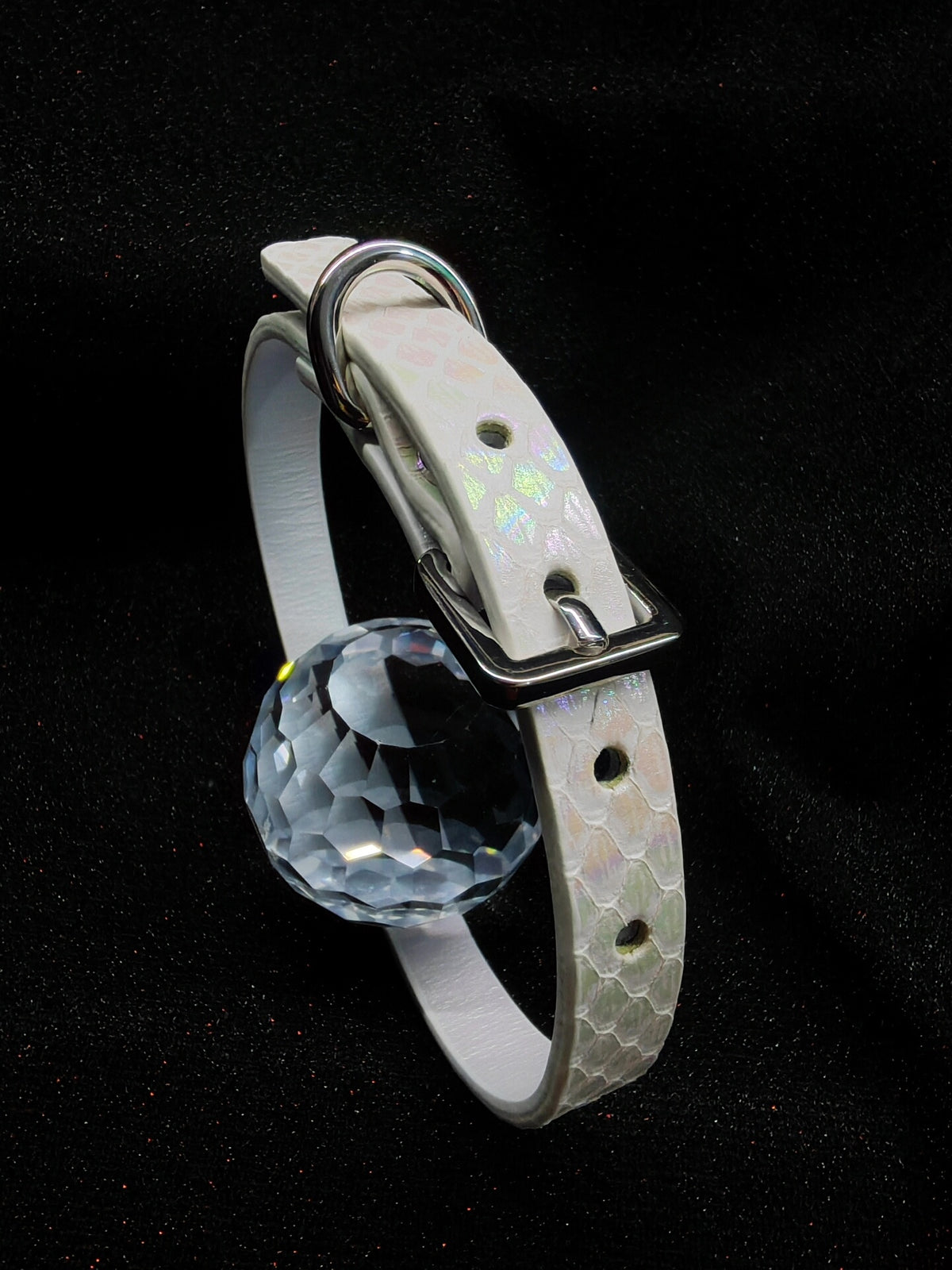 1016085499877 - Image 1