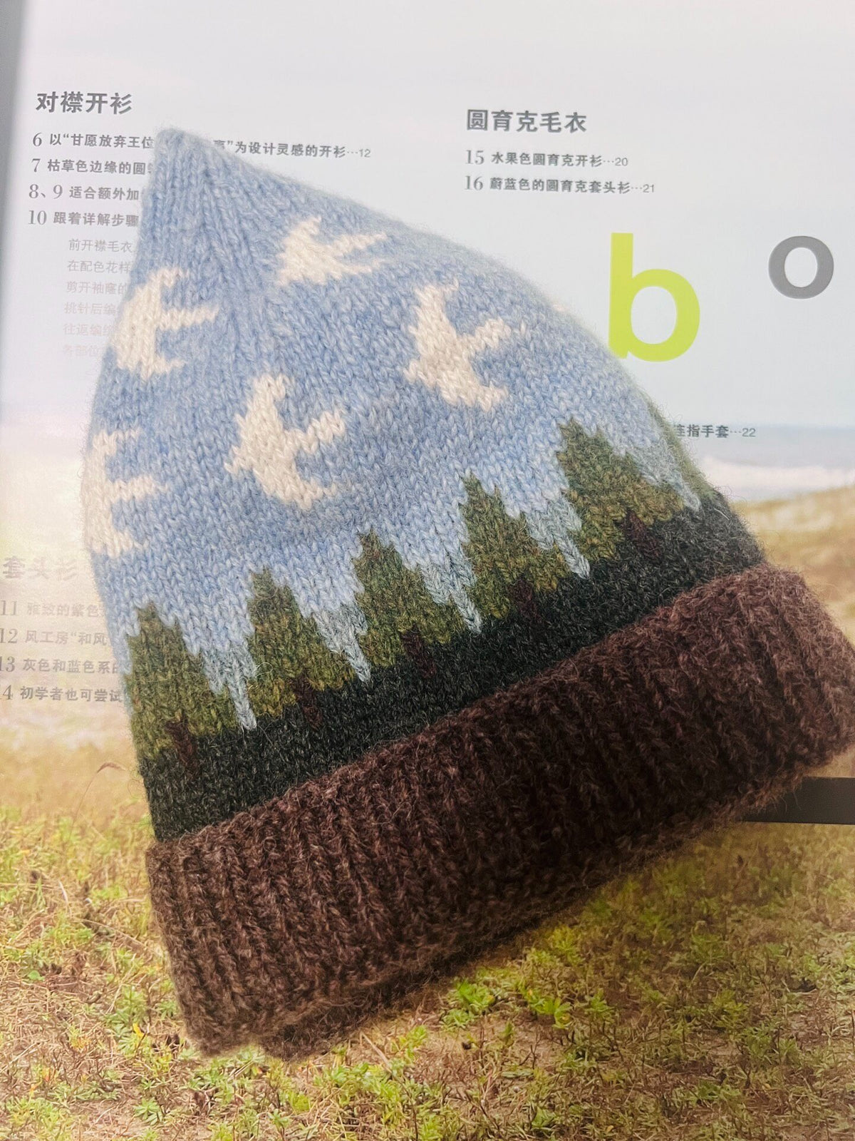 100 Percent Wool Shetland Knit Hat