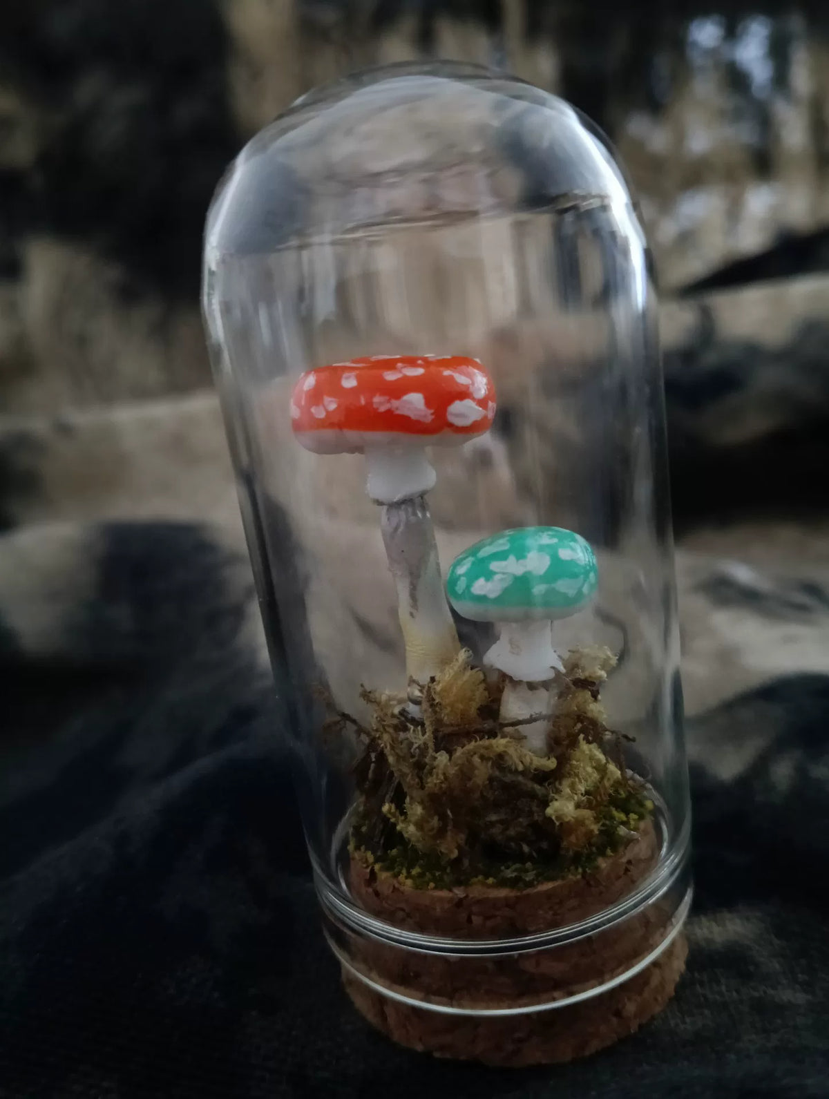 Terrarium de champignons fait main sous cloche de verre