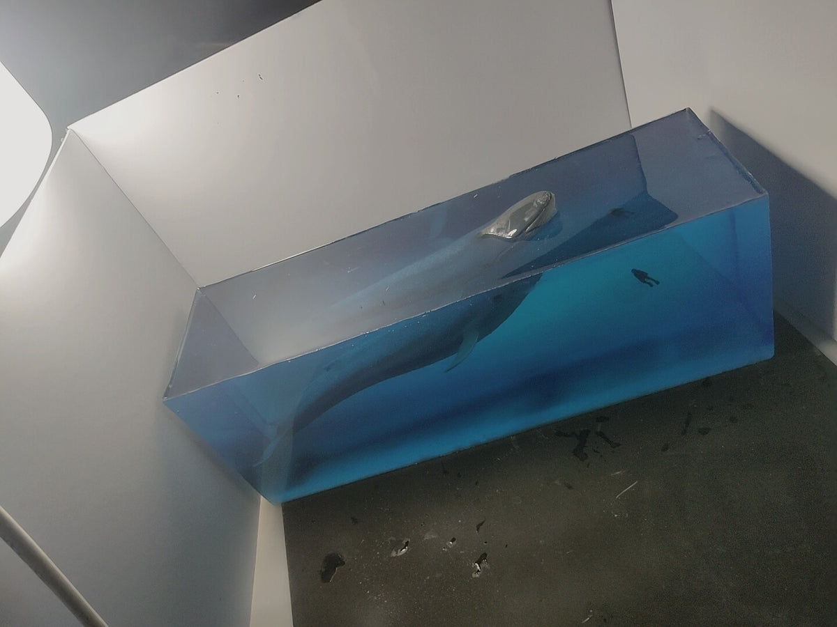 654246326478 - Image 4