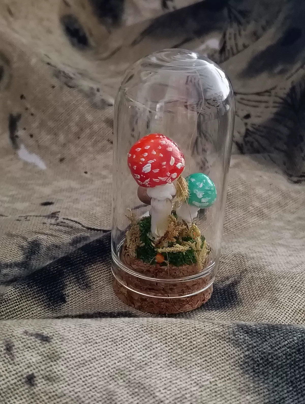 Terrario con funghi fatto a mano in cupola di vetro
