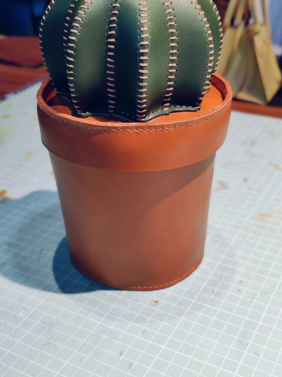 862123060181 - Image 6