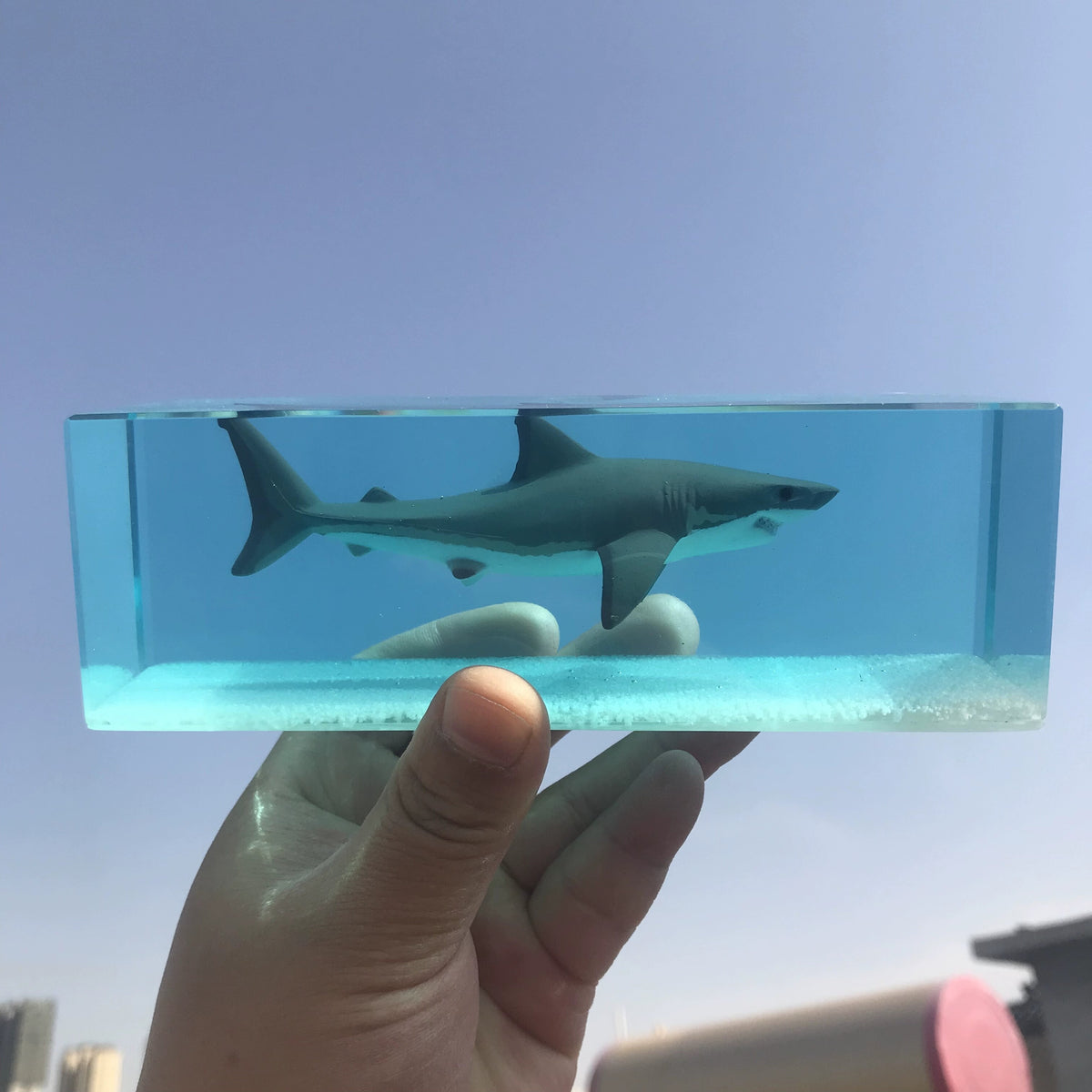 Shark Paperweight Blue Resin Ornament