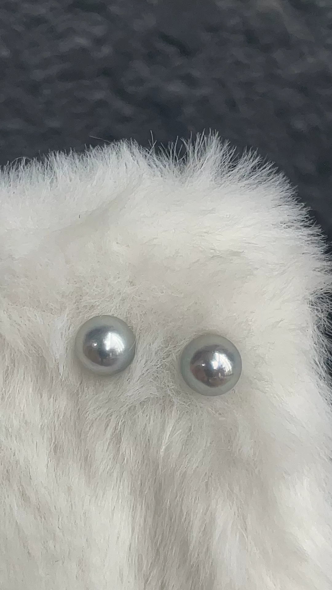 Silver Grey Saltwater Pearl Earring Pair