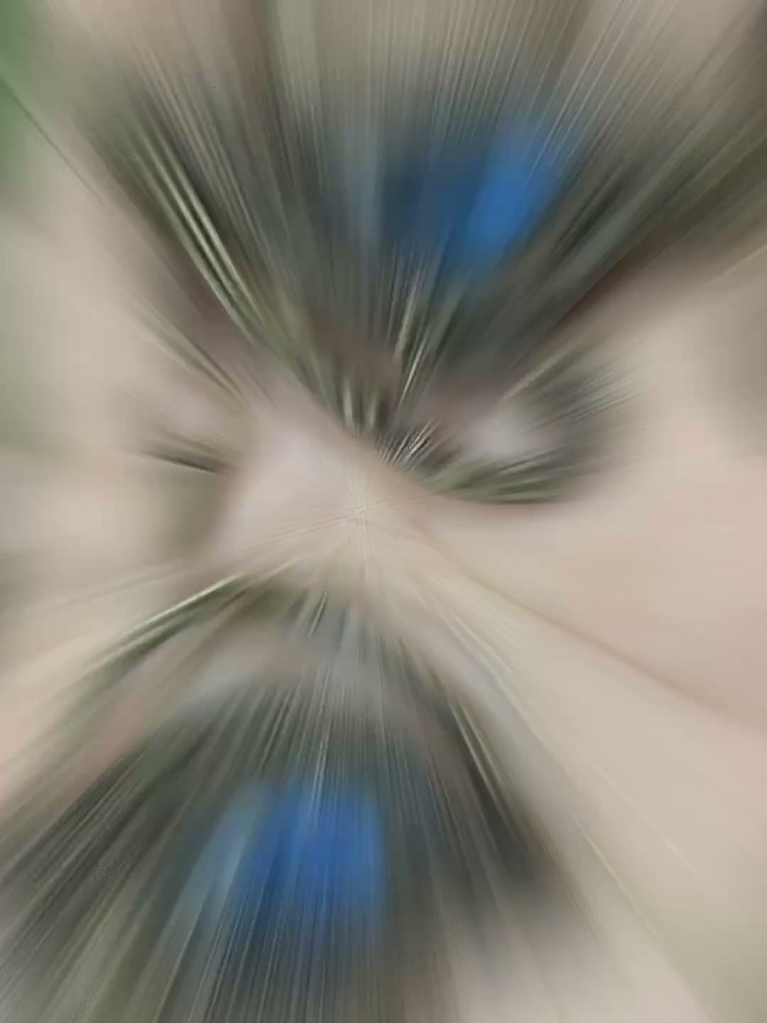 745981497652 - Image 11