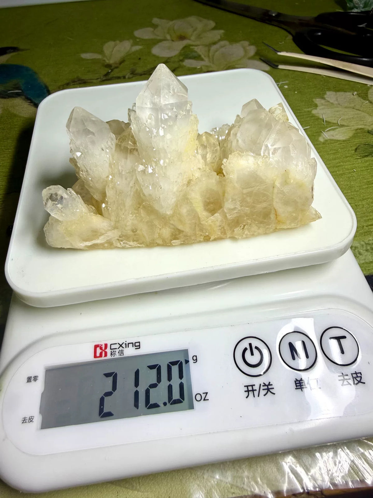 1073724010864 - Image 4