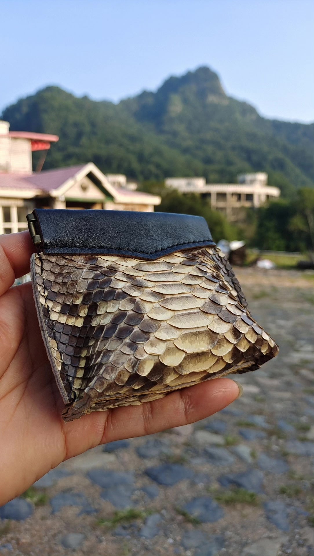 ハンドメイド パイソンレザー・ドラゴンスケール・ポーチ