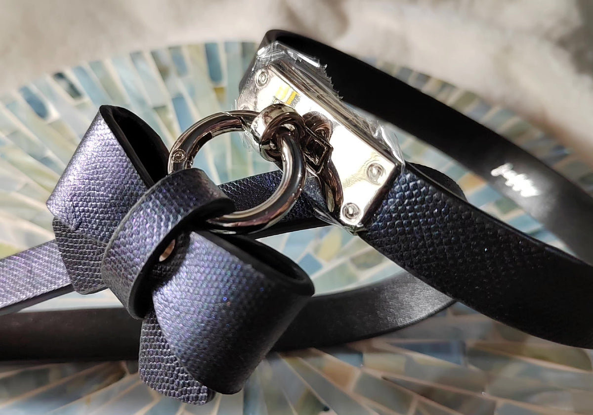 Conjunto de collar y correa para mascotas con purpurina azul