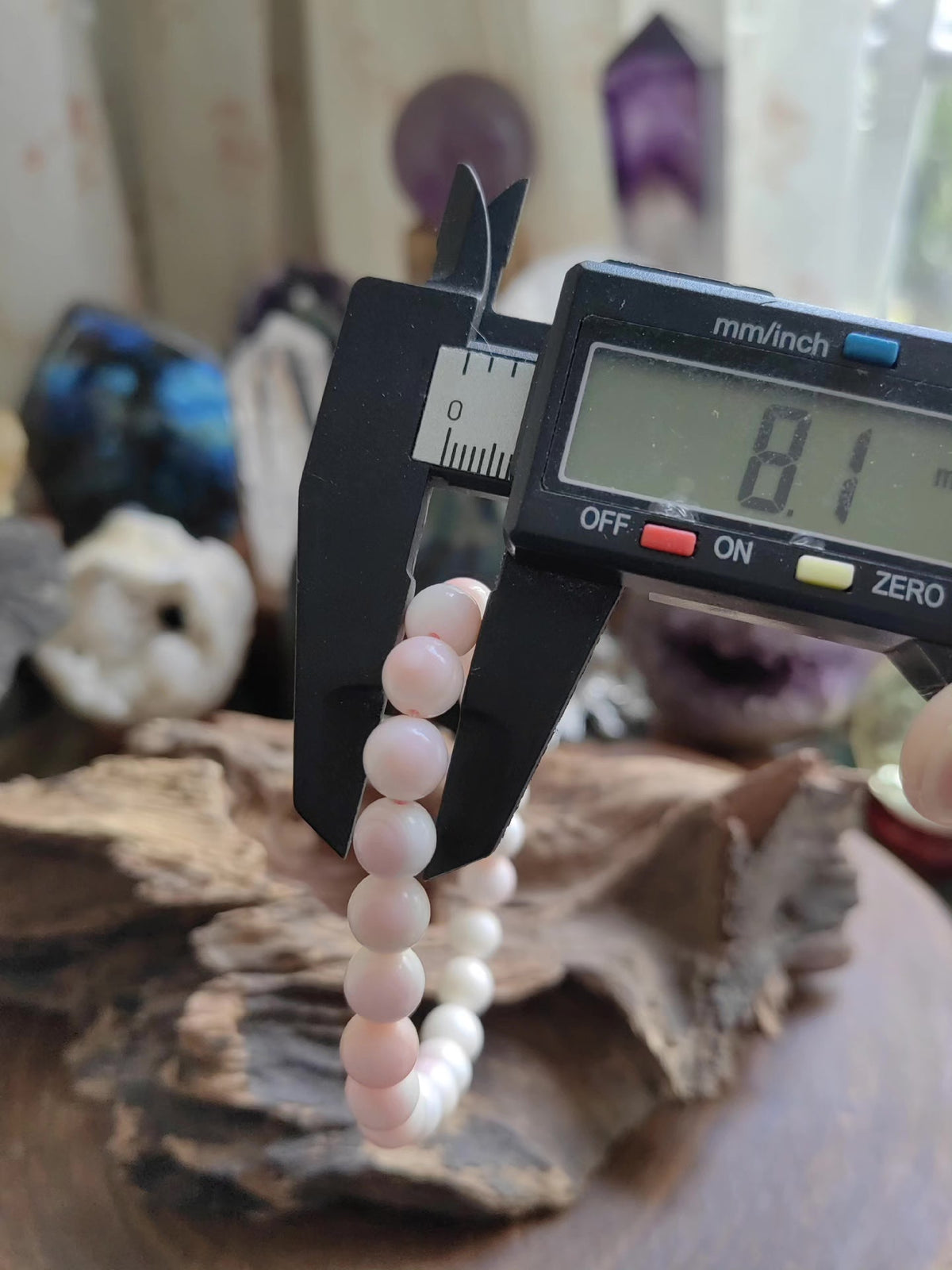 744497887266 - Image 5