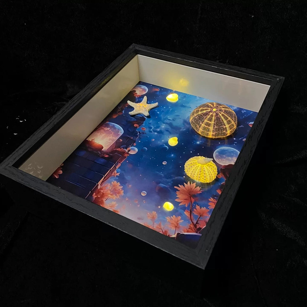Sea Urchin Lamp Shadow Box Frame
