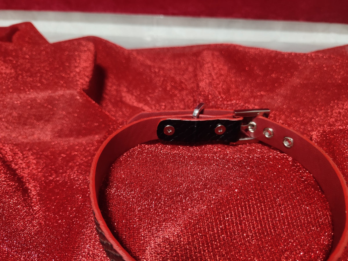 1008124800934 - Image 2