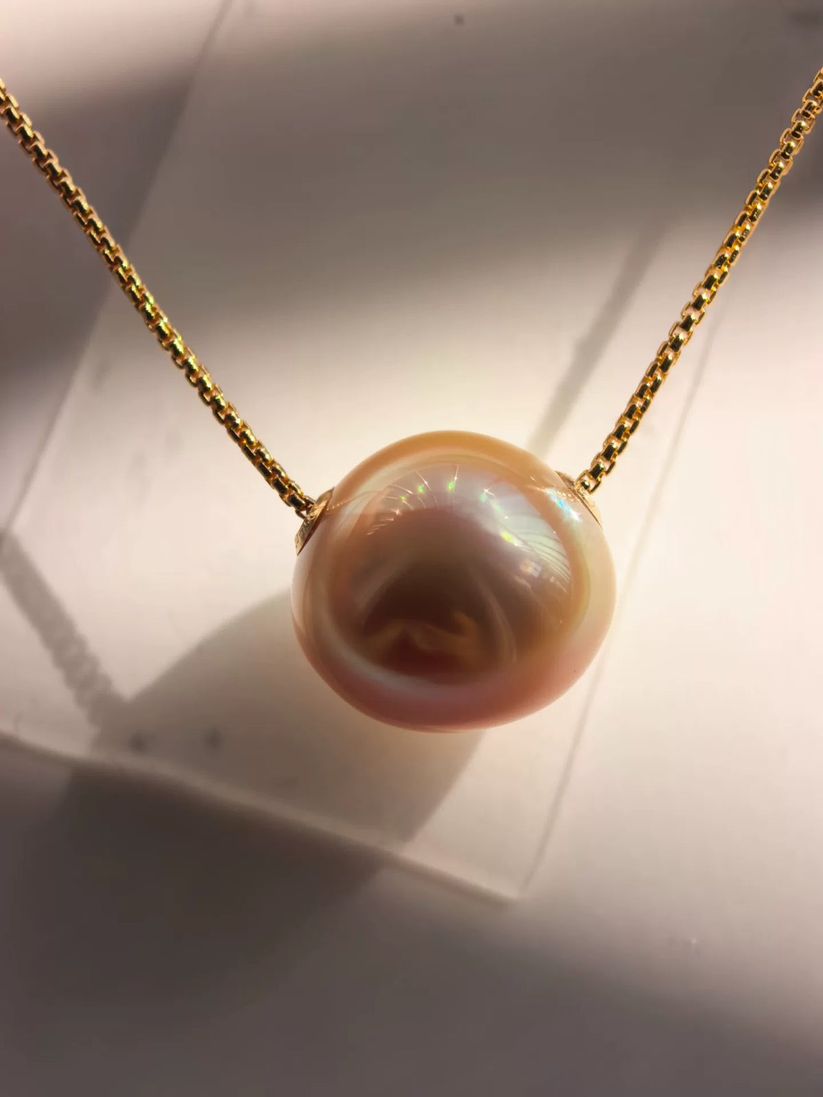 987629224418 - Image 3