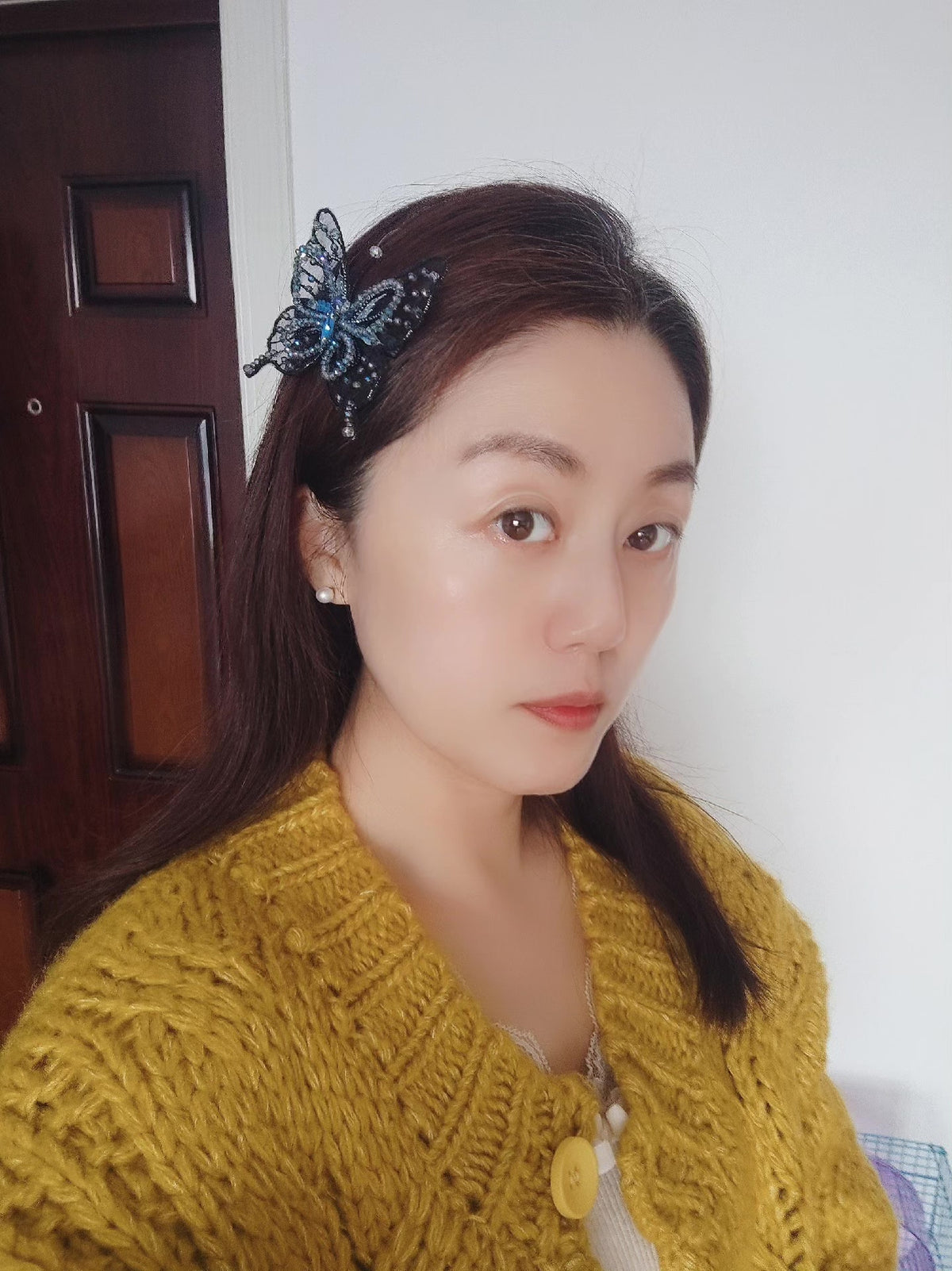 French Embroidered Butterfly Hair Clip