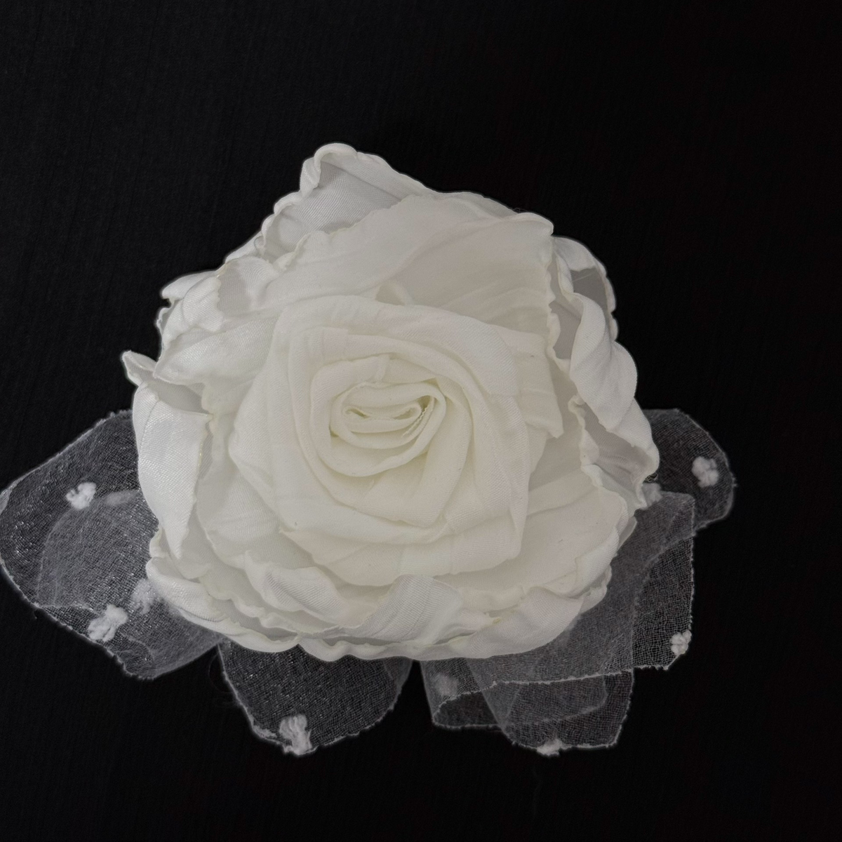 1052463995411 - Image 1