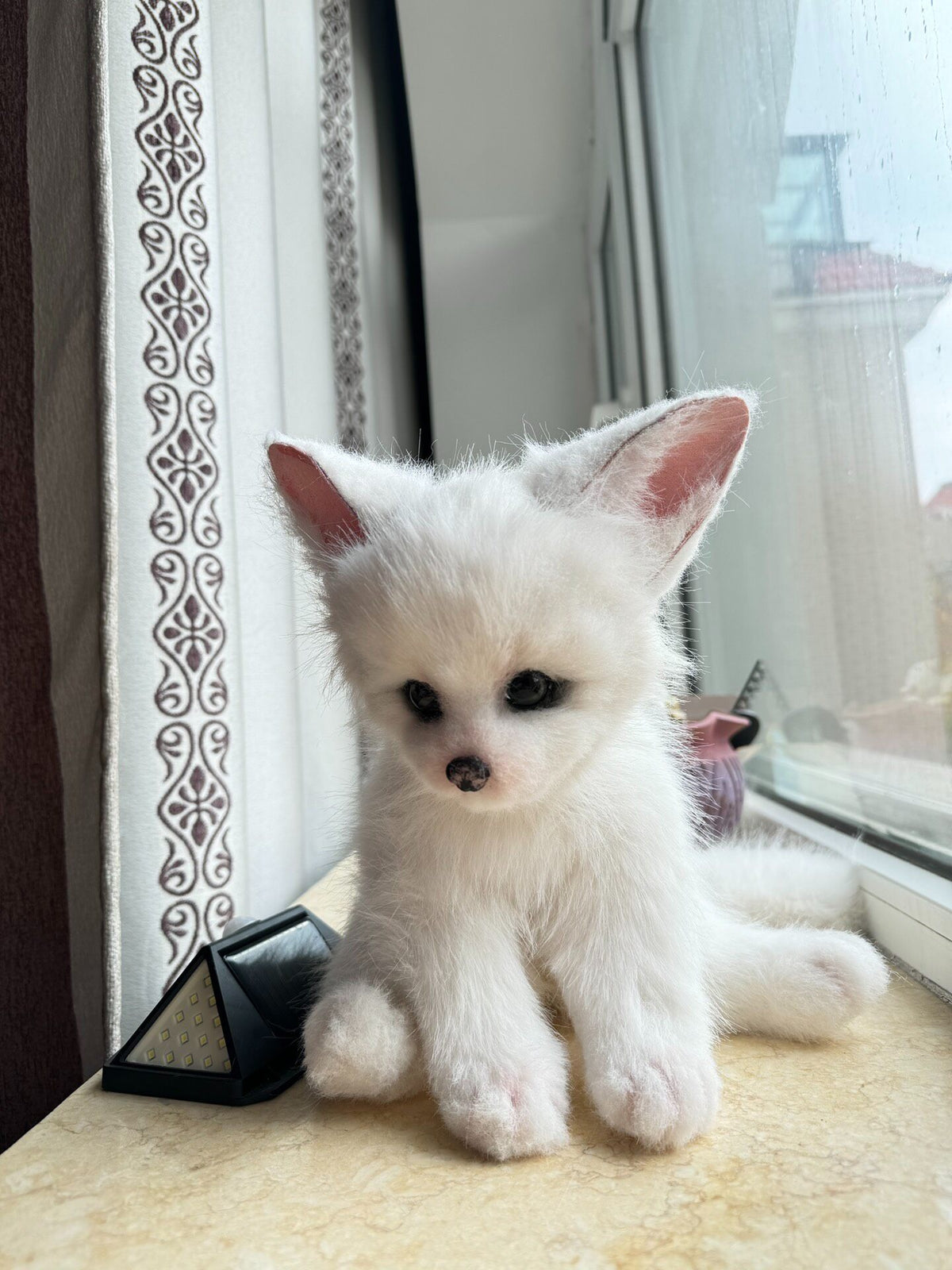Realistic Fox Cub Plush Articulated Skeleton