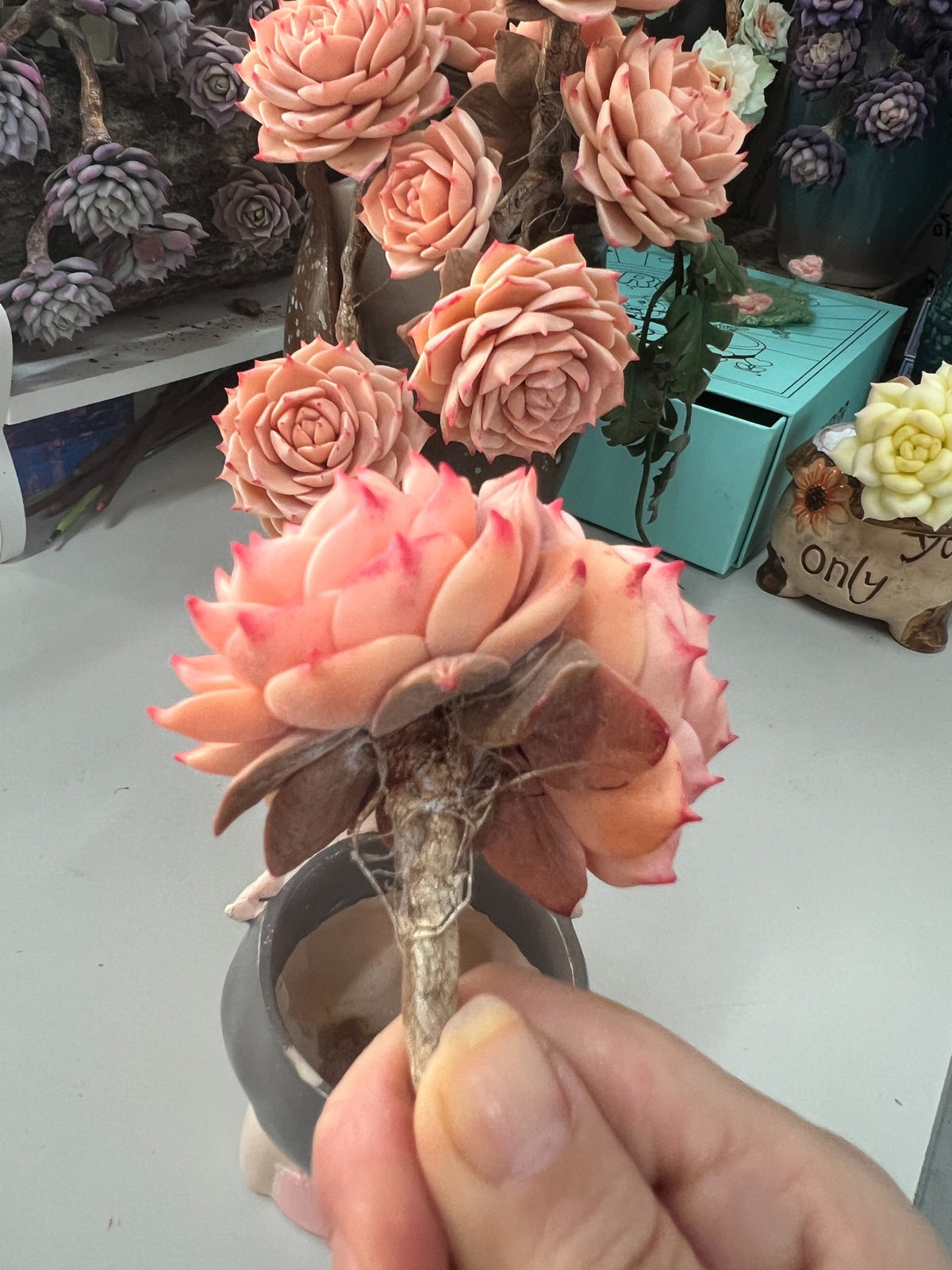 Handmade Resin Clay Double Headed Succulent