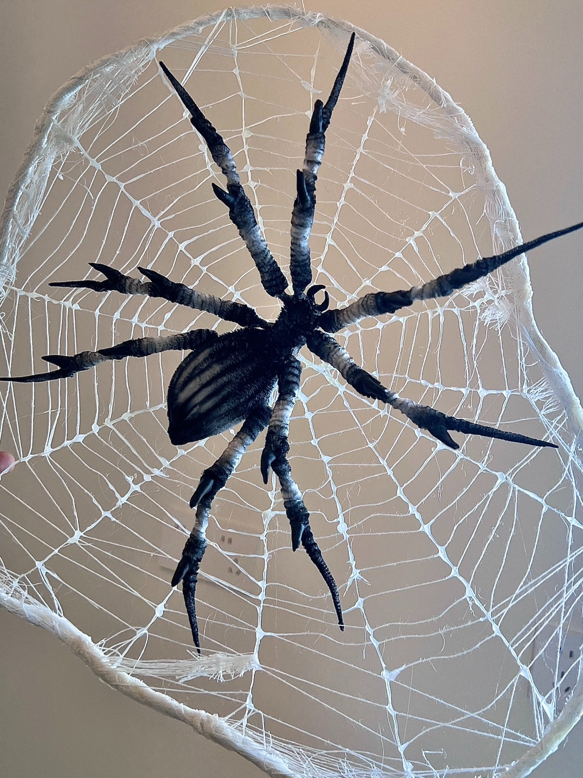 1041260436325 - Image 3