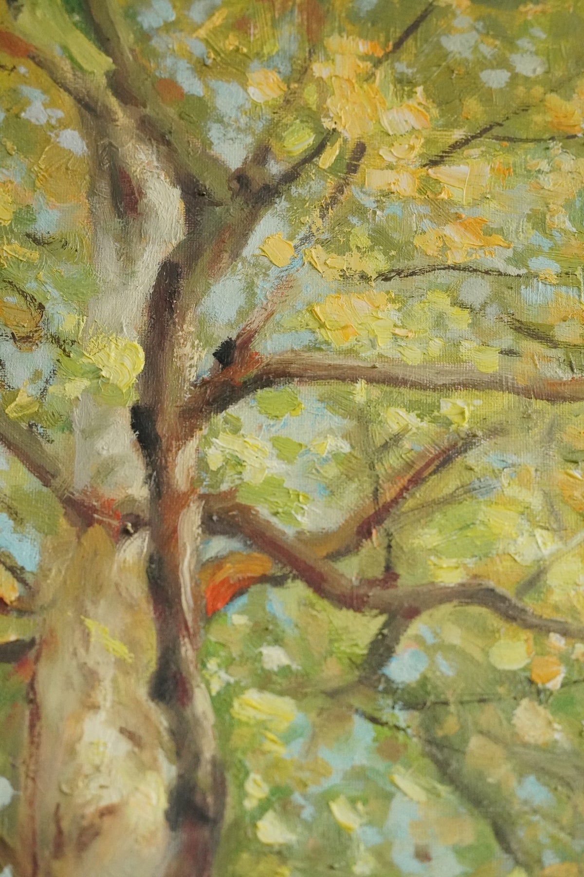 Tree Shadow Original Oil Painting 30x50