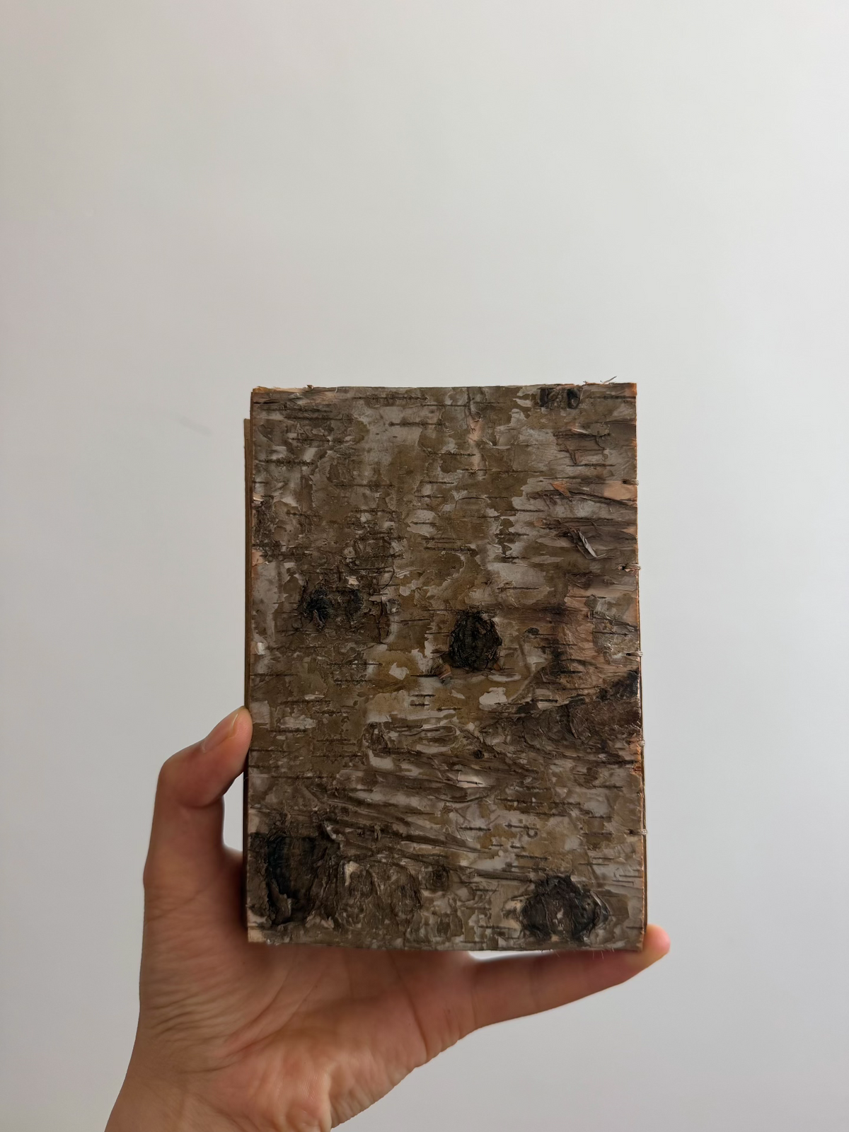 Cuaderno hecho a mano de corteza de árbol con botánicos secos