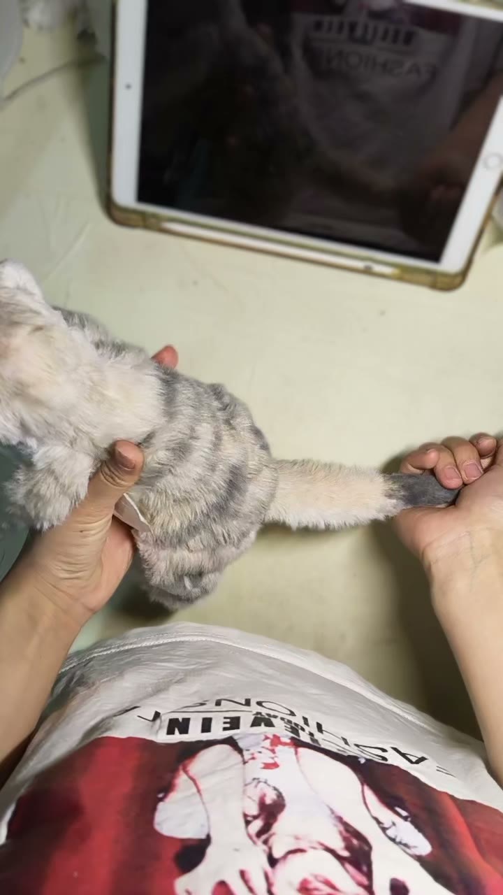 Figurine d'art suricate en fil de chenille fait main