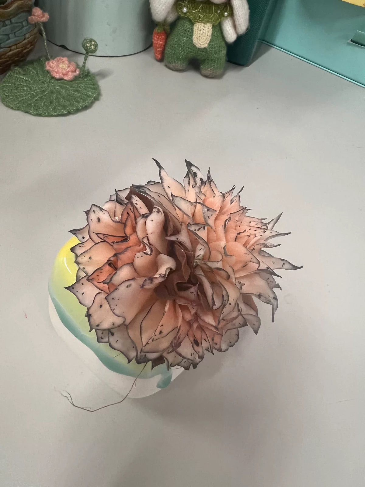 Succulenta Echeveria Crestata in Argilla di Resina e Vaso in Ceramica