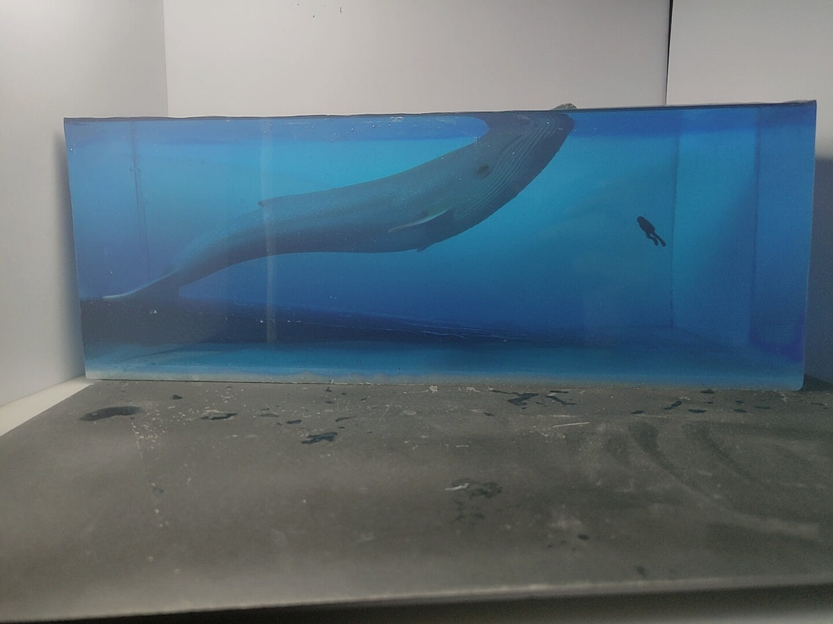 Blue Whale Diver Resin Ocean Diorama