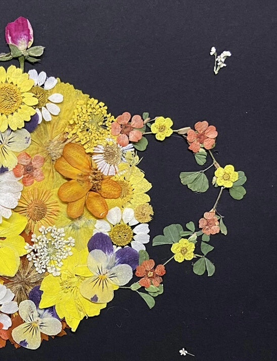 Pressed Flower Planet Framed Art