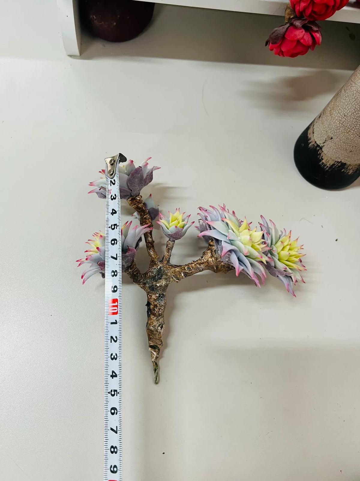 Resin Clay Succulent Seven Rosette Decor