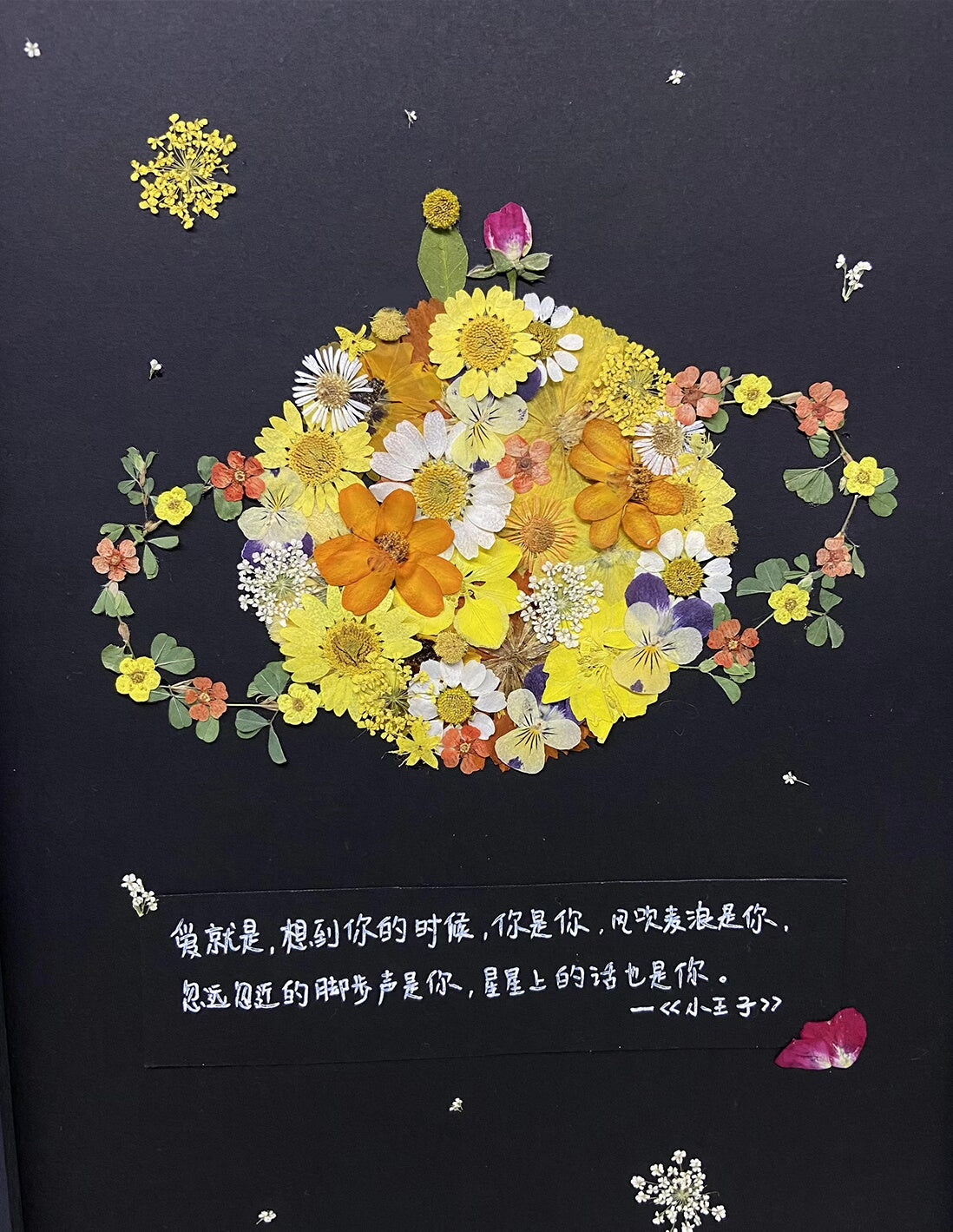 Pressed Flower Planet Framed Art