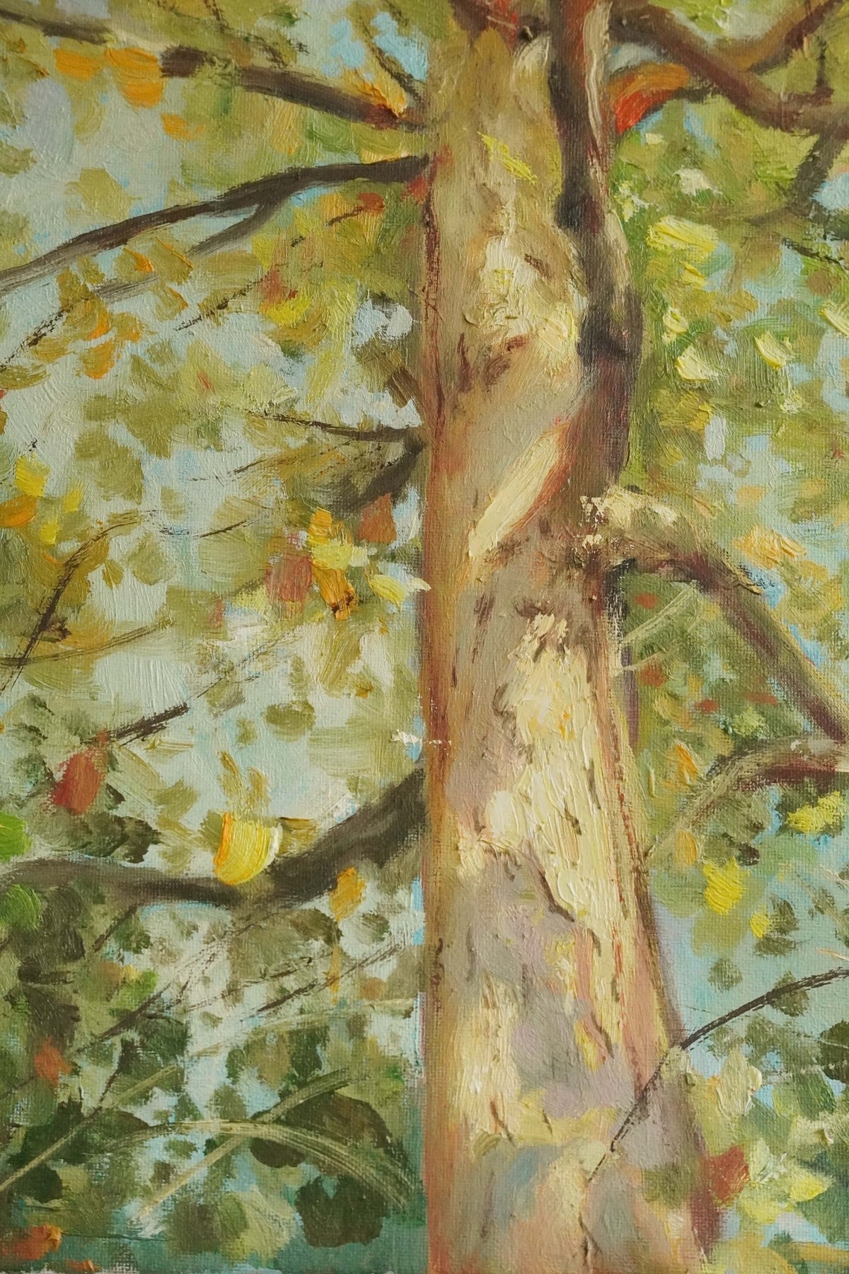 Tree Shadow Original Oil Painting 30x50