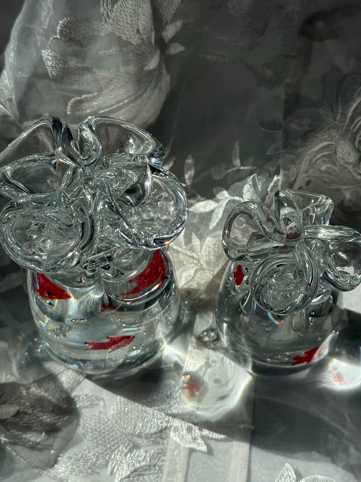965552311230 - Image 4