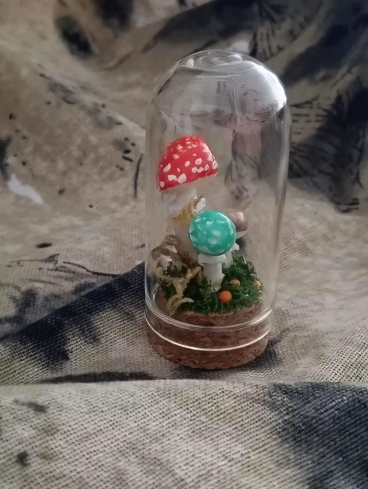 Terrario con funghi fatto a mano in cupola di vetro