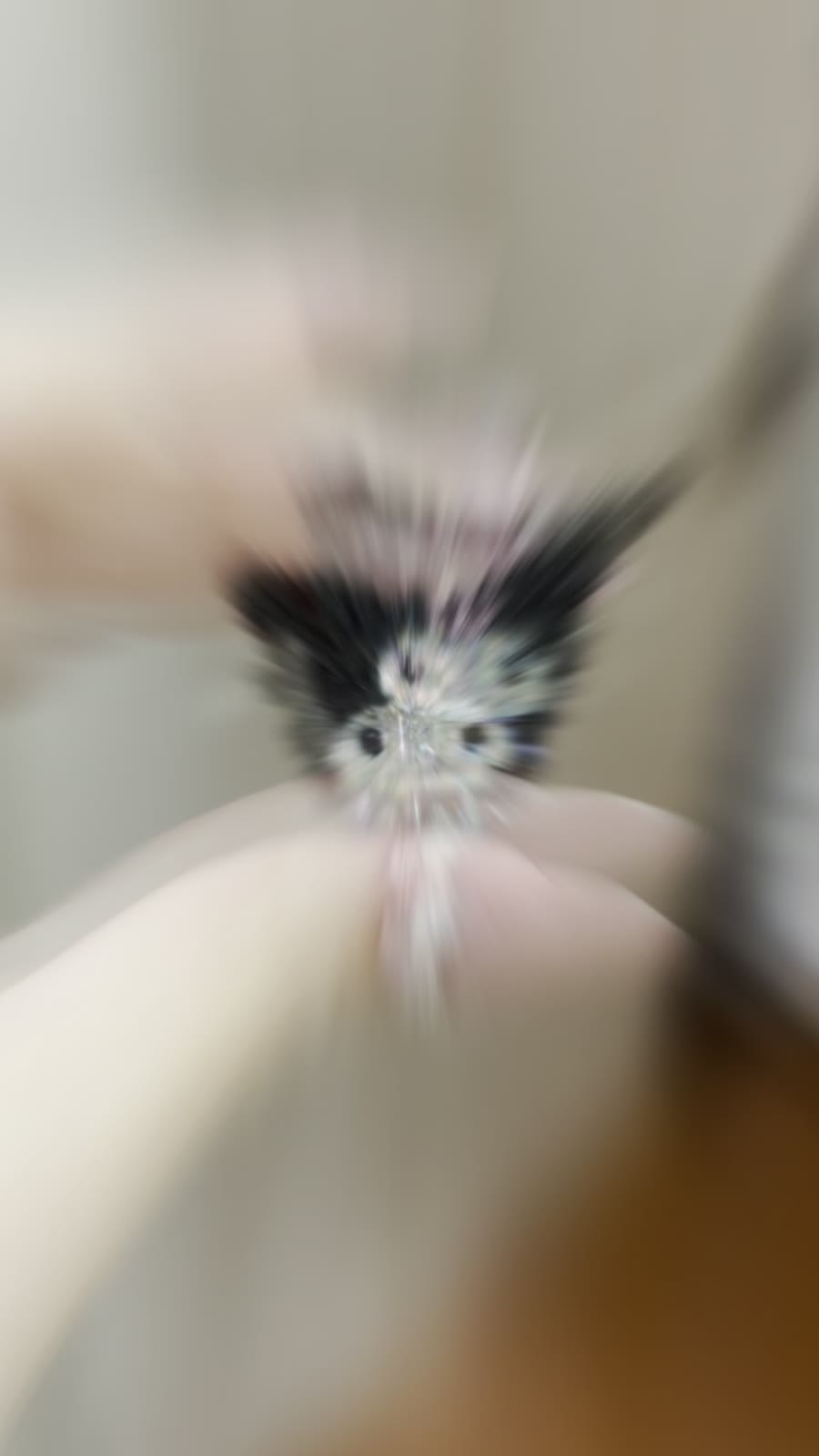 Kuromi Rhinestone Hair Claw Clip