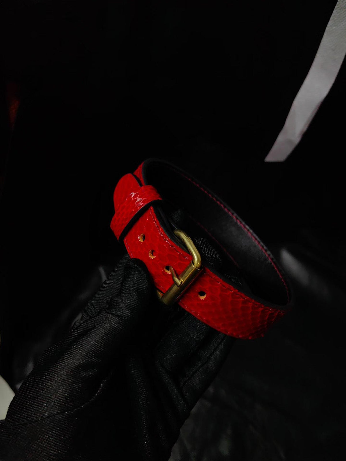 Red Snake Leather Choker Necklace Brass Buckle