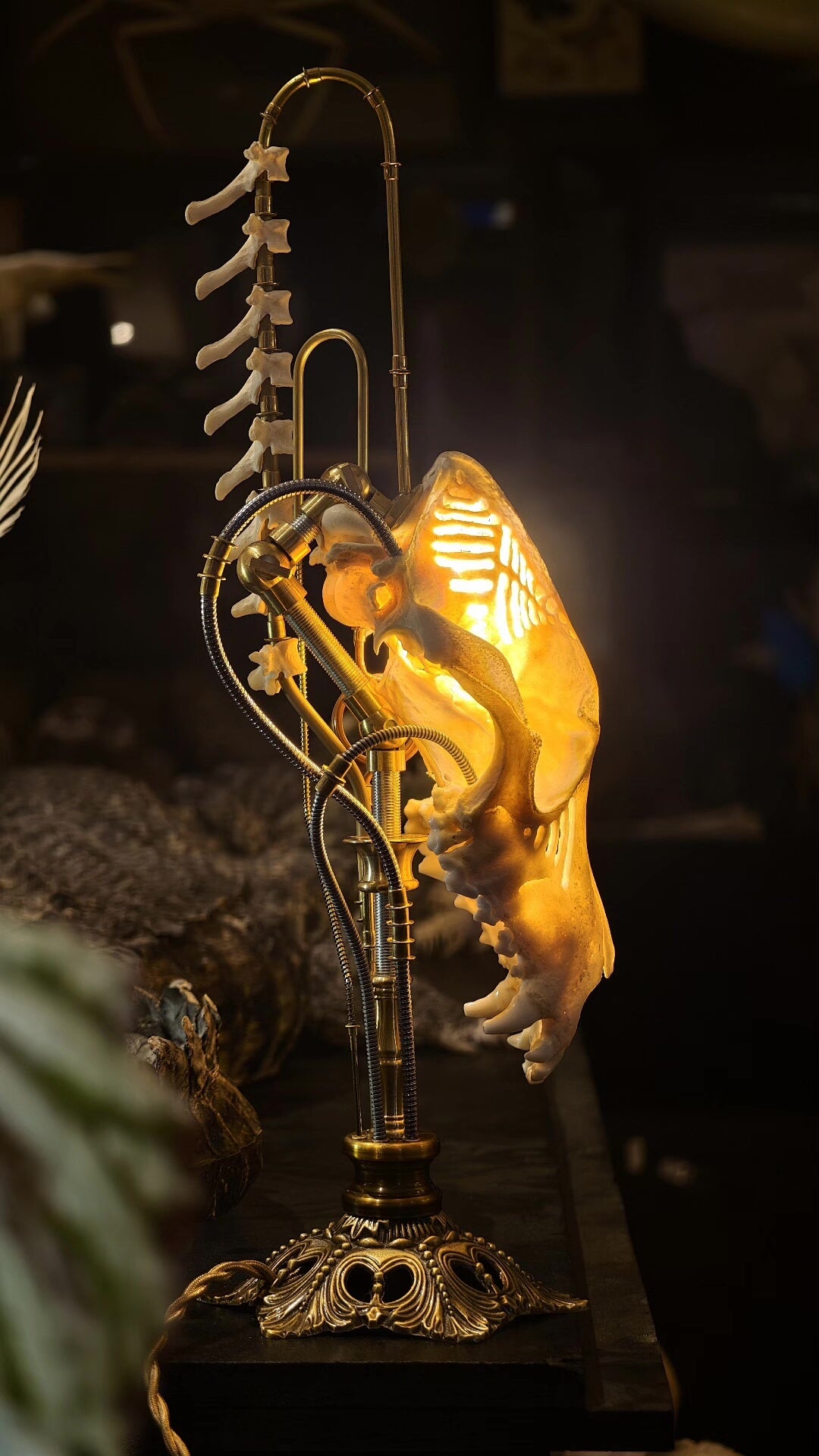 Mechanical Bone Lamp with Brass Vertebrae Base