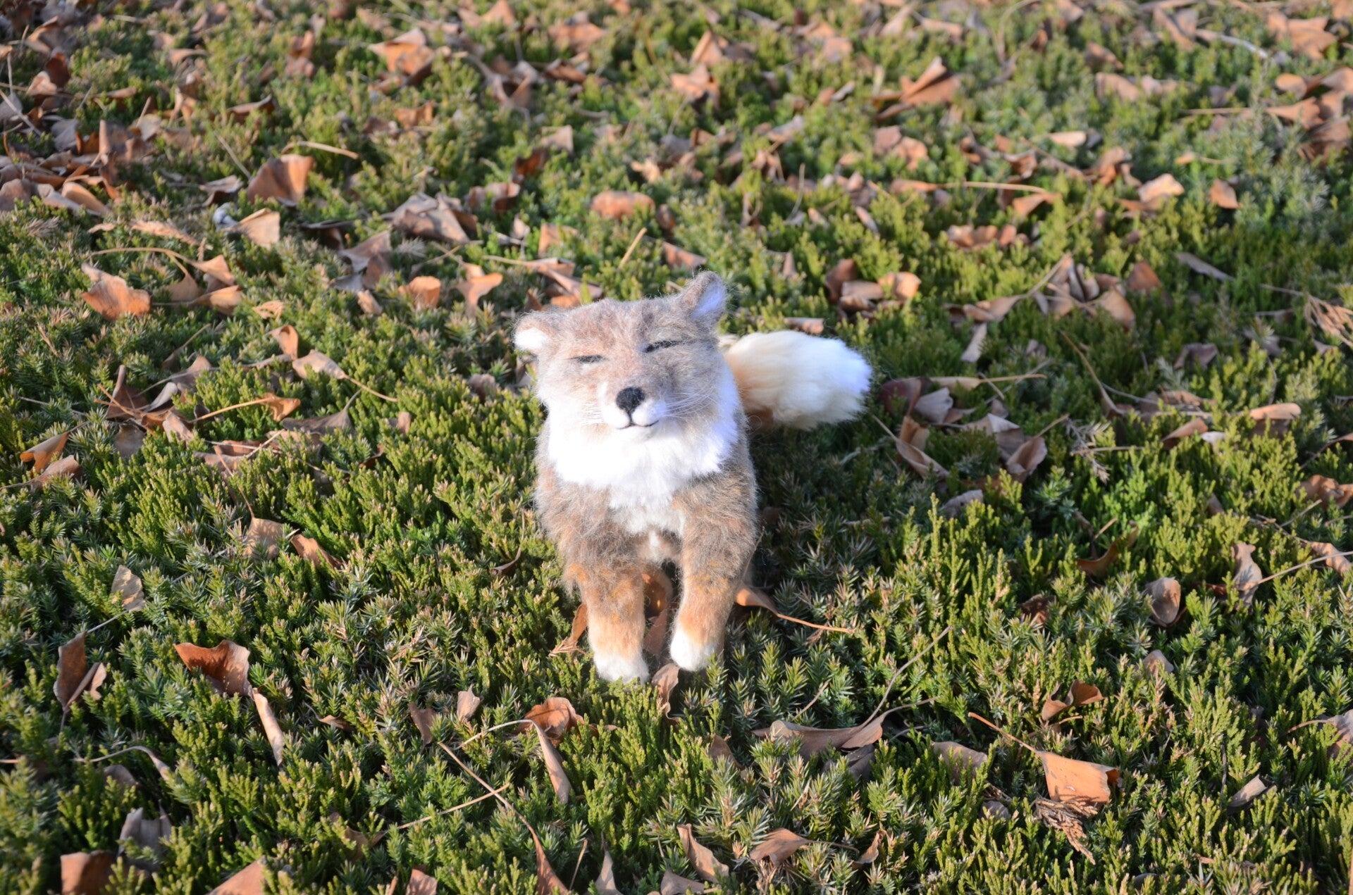 Wool Felt Tibetan Fox Realistic Animal Figure