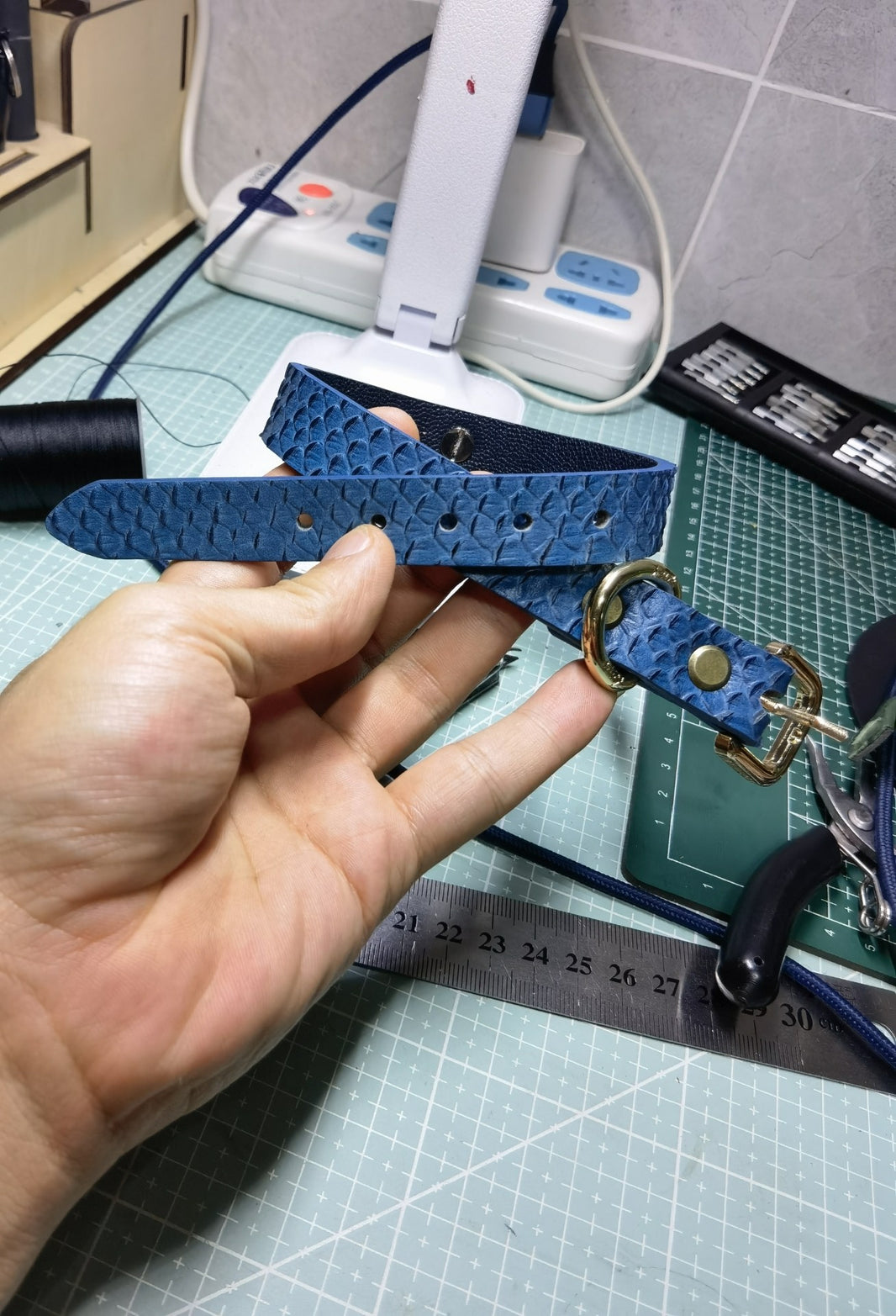 1060116918305 - Image 1