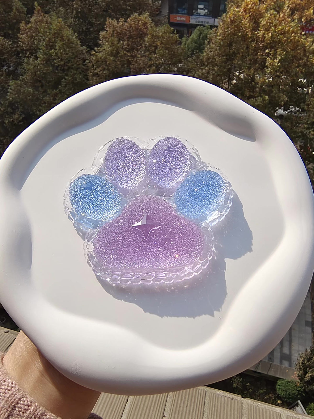 Resin Cat Paw Gradient Storage Box