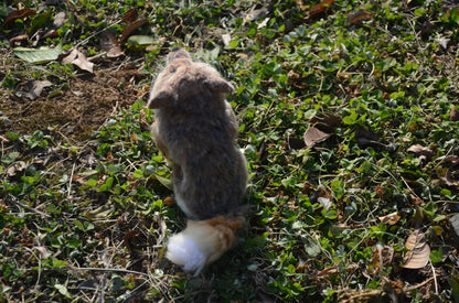 Wool Felt Tibetan Fox Realistic Animal Figure