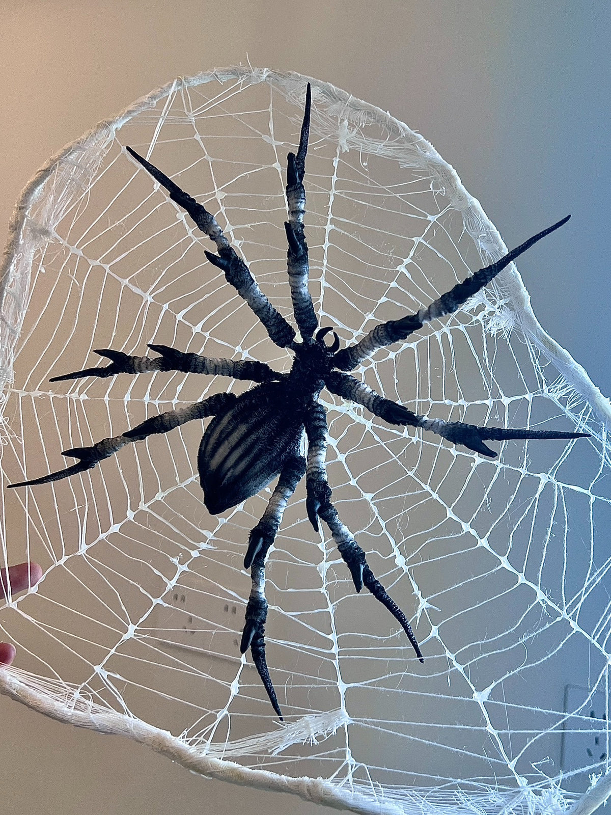 Posed Spider Figure with Web Prop