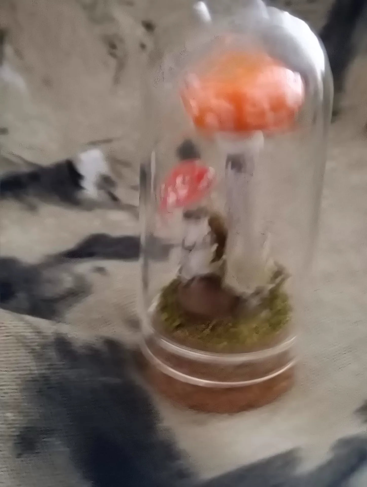 Handgefertigtes Pilz-Terrarium in Glasglocke