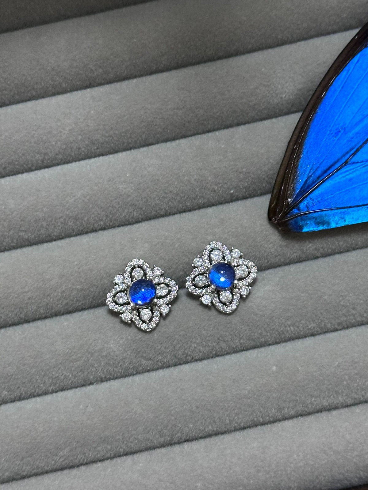 Blue Morpho Butterfly Wing Earrings